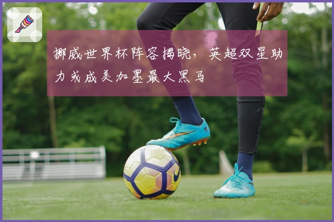 挪威世界杯阵容揭晓，英超双星助力或成美加墨最大黑马