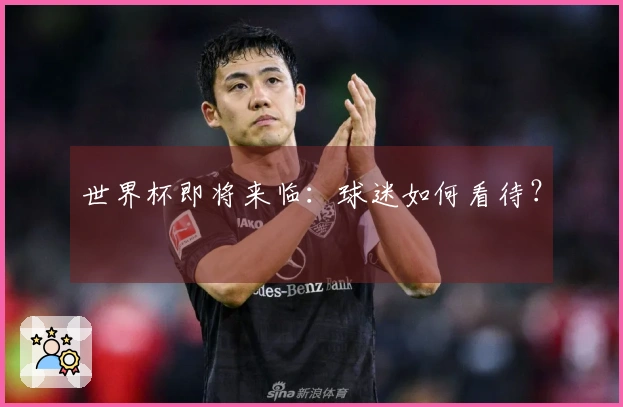 世界杯即将来临：球迷如何看待？